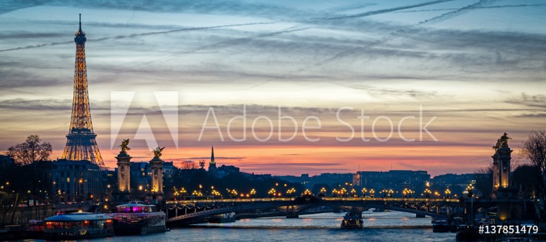Picture of Paris cityscape with Tour Eiffel and Pont Alexandre III at twilight